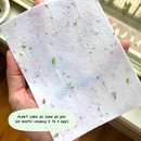 A Merry Tree Christmas Card Pack