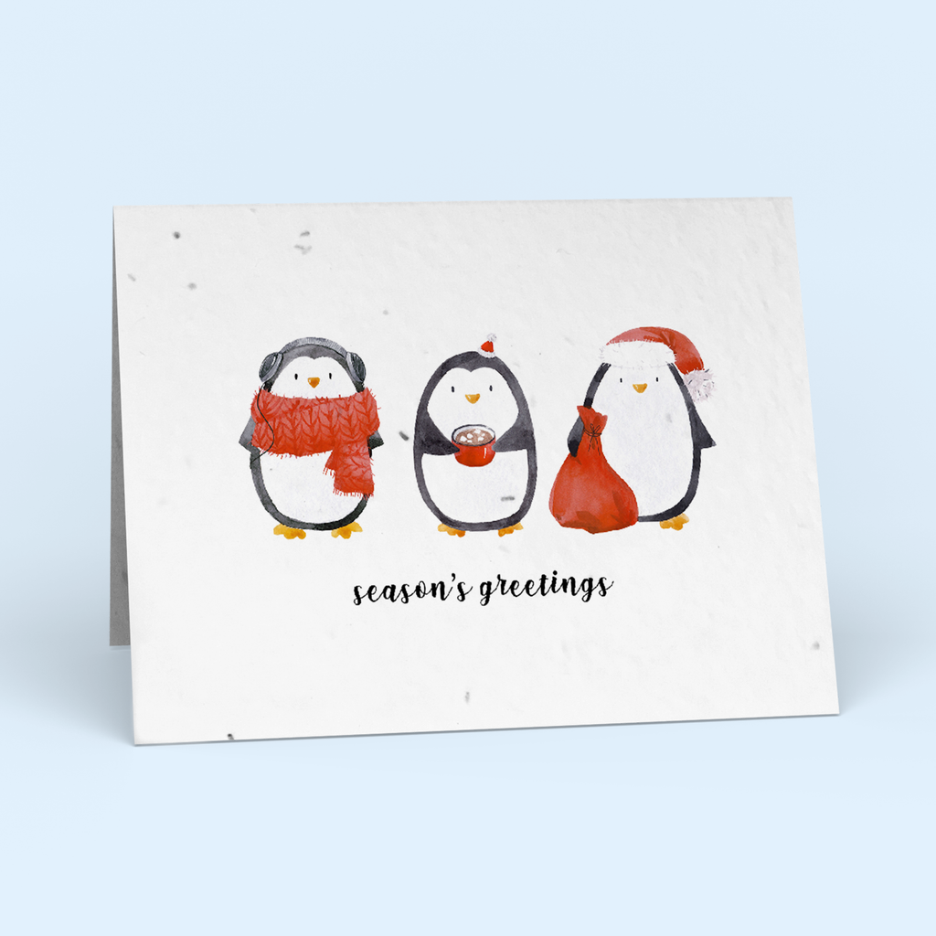 Santa s Penguins Pack Christmas Cards Cute Root