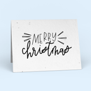 Merry Christmas! Christmas Card Pack